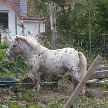 Сasa de vacaciones Moderne Avec Accès Indépendant, Proche Centre-ville Et Thermes, Terrasse Et équipements Inclus - Fr-1-589-57 Contrexéville