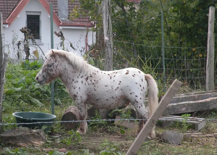 度假居 Moderne Avec Acces Independant, Proche Centre-ville Et Thermes, Terrasse Et Equipements Inclus - Fr-1-589-57 孔特雷克塞维尔